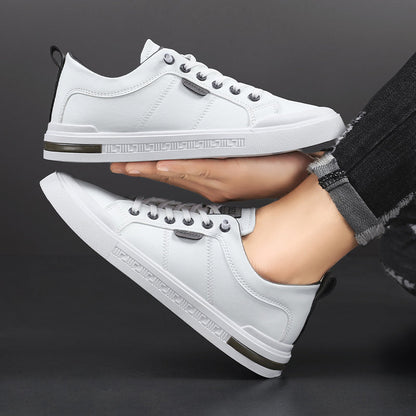 Calverto Sneakers