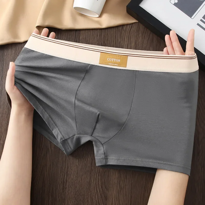 Cotton Theory Boxer