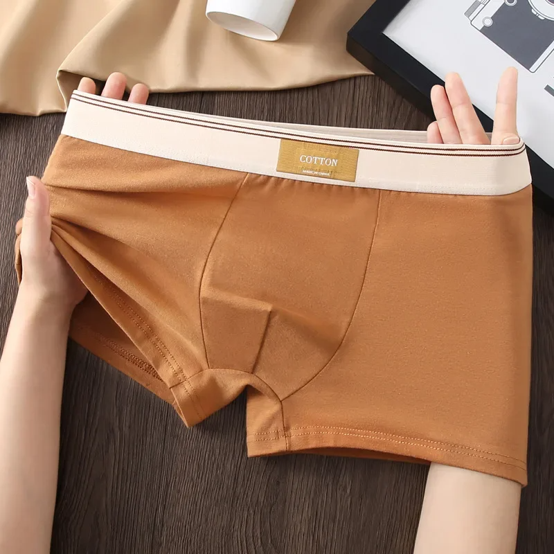 Cotton Theory Boxer